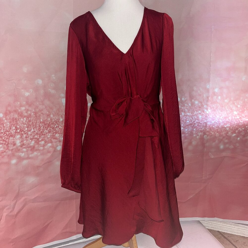 Express Burgundy Long Sleeve Mini Flared Dress Size M
